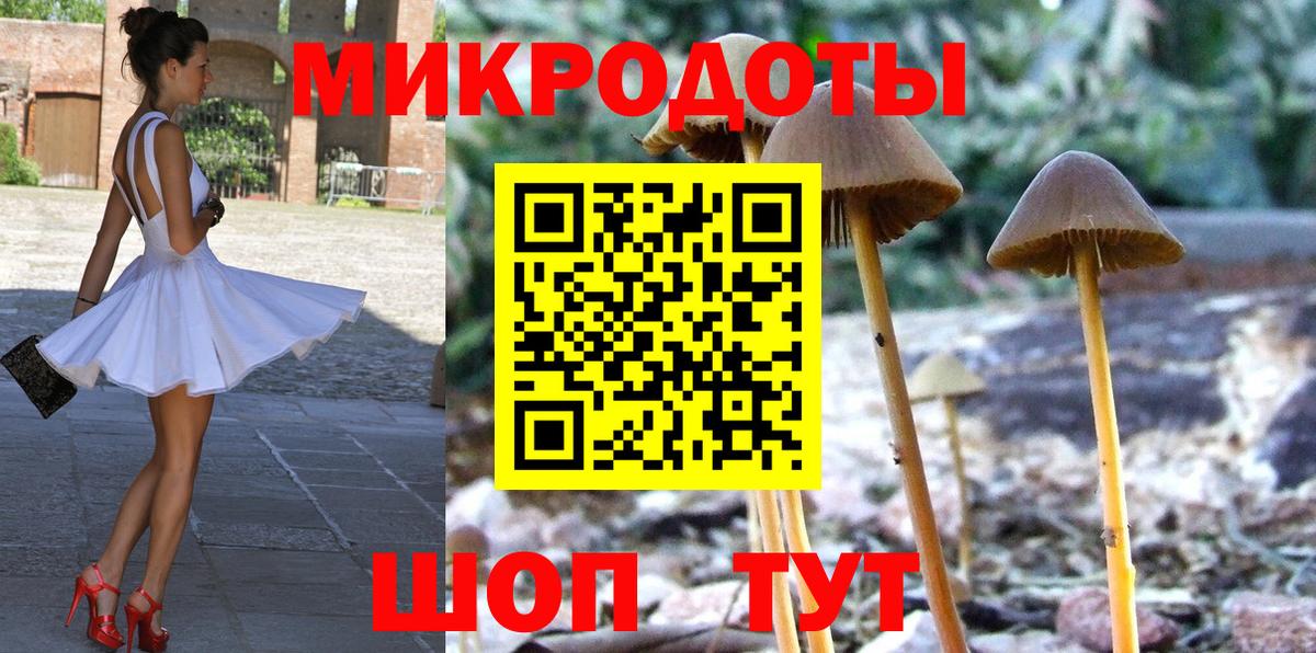 Псилоцибиновые грибы мицелий  Ачхой-Мартан 