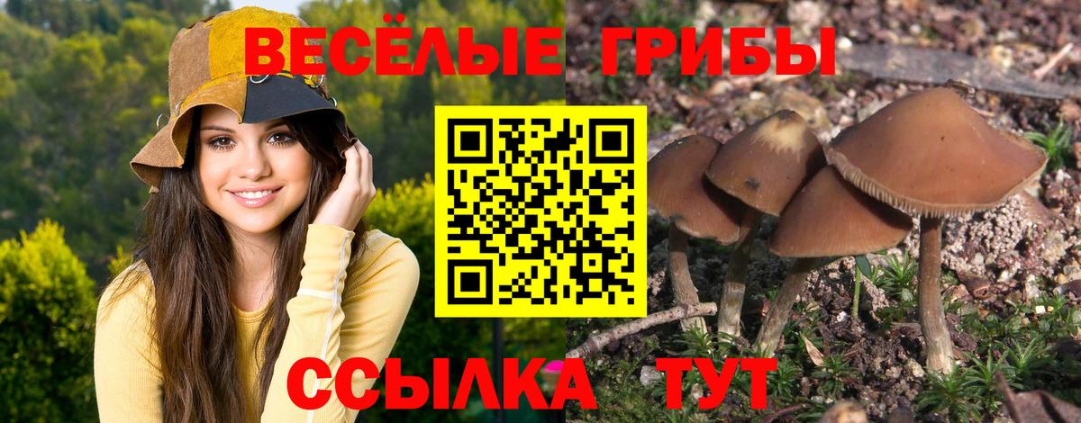 Галлюциногенные грибы мухоморы Ачхой-Мартан